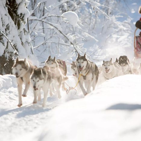 Flüge nach Tromsø: Die perfekte Anreise zu den nordischen Wundern